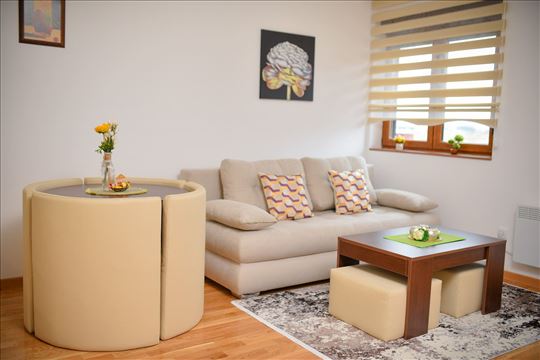 Apartman "Zlatiborski Dar" - akcija