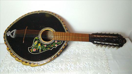 Jedinstvena 12 žicana gitara od oklopa kornjače  