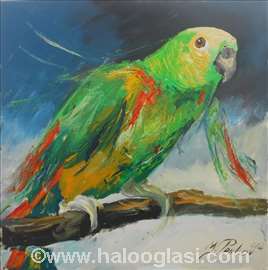 Papagaj, ulje na platnu, 70x70cm, akademski slikar
