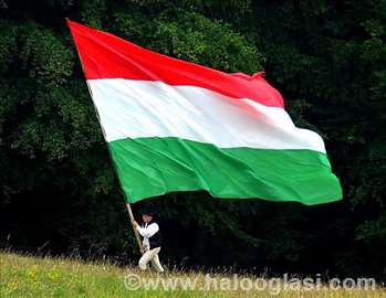 Madjarski jezik (specijalni materijal)