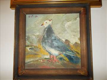 Slika - Golub - Ilija Pandurović