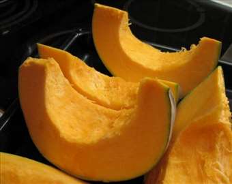 Seme domaće bundeve