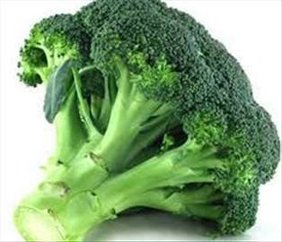 Brokolidomace seme