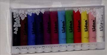 Lidan nail art set- 12 profesionalnih 3D