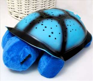 Popularne zvezdane kornjače - plave boje