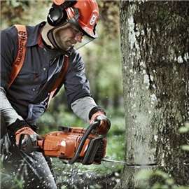 Obaranje i seča stabala, krčenje. Novi Sad