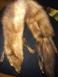 Krzneni okovratnik od kune