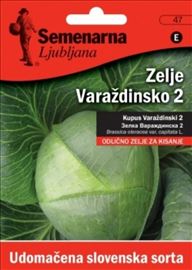 Kupus Varadžinski seme