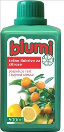 Blumi citrusi