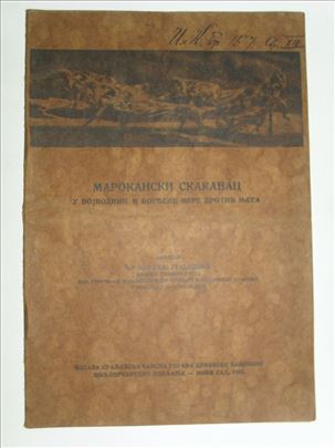 Marokanski skakavac u Vojvodini-Mihailo Gradojević