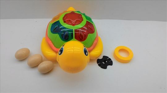 Muzička kornjača koja leže jaja akcija
