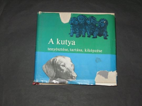A kutya tenyesztese, tartasa, kikepzese