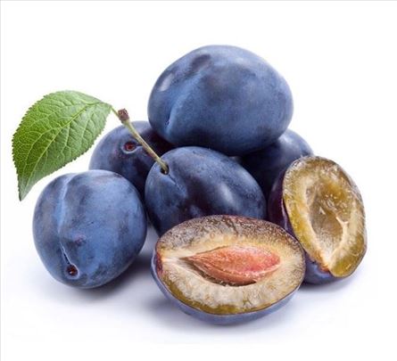 Nova knjiga - monografija "Šljiva"