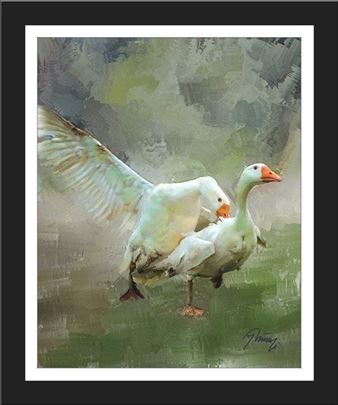 Jovica Petrović - "Borba guskova"