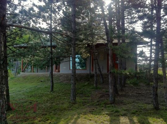 Požega,Divčibare, Prelepa vikend kuća okružena bor