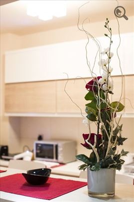 Beograd, apartman Idea