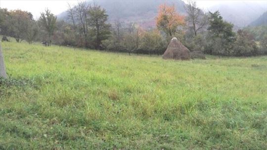  Poljoprivredno zemljište, Užice, Mokra Gora
