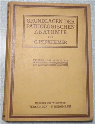 Grundlagen der pathologischen Anatomie-G.Herxheime
