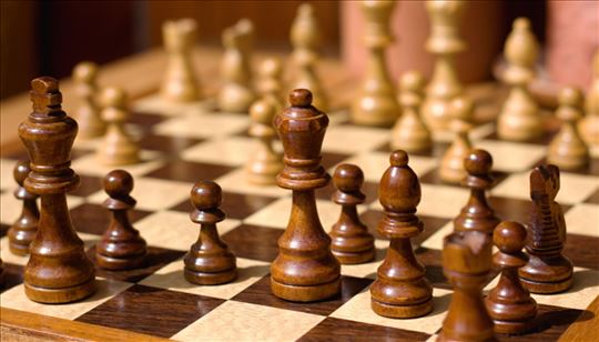 Privatni časovi šaha za početnike