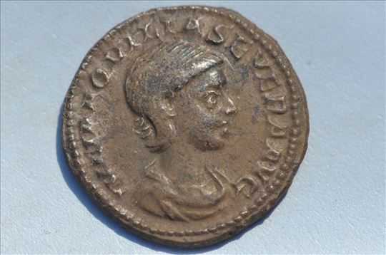 Rim denar Julije Akvilije Severe