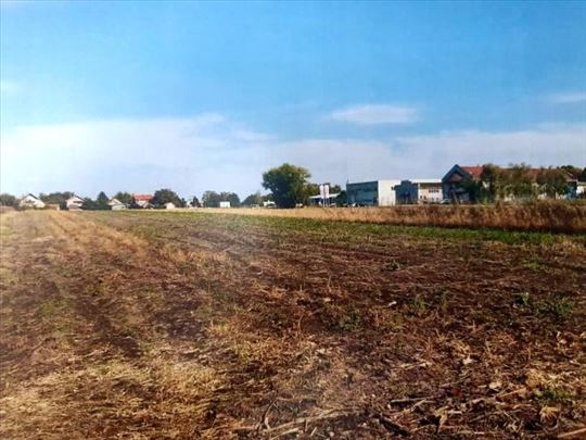 Prodaja poljoprivrednog zemljišta 18.000m2,Inđija