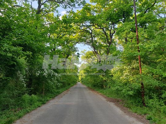 Plac 5 ari Sportski centar Surcin, naselje Kljuc.