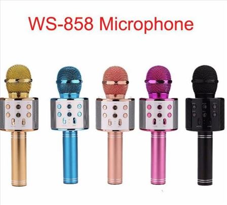 WS 858 Wireless karaoke mikrofon