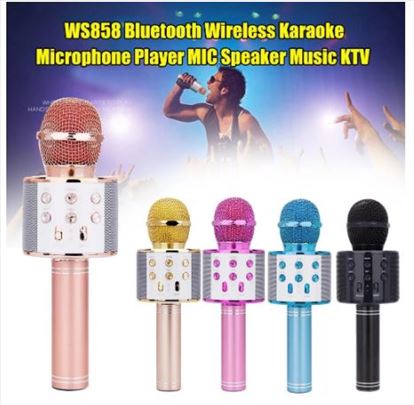 WS 858 Wireless Karaoke Mikrofon 