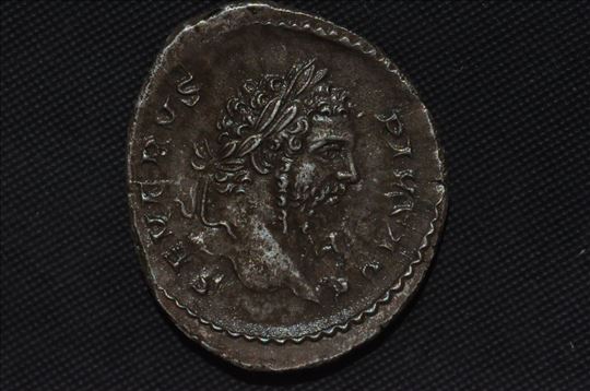 Rim, denar cara Septimija Severa   4