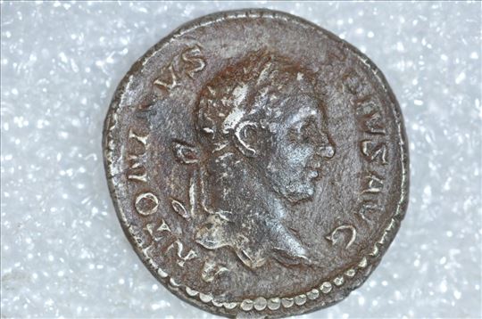 Rim, denar cara Elagabala  1