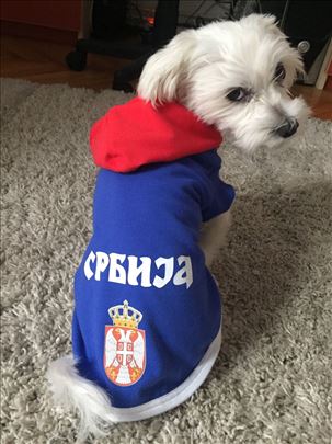 Srbija duksevi za pse ~ novo