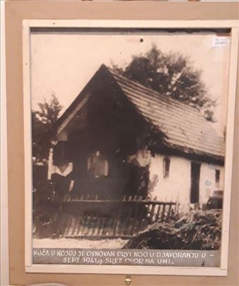 Zivan Vulić - Plava vaza i jabuke