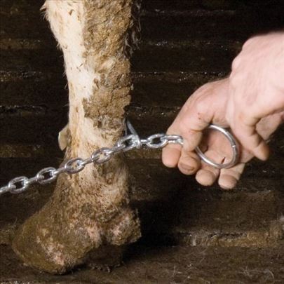 Lanac protiv ritanja