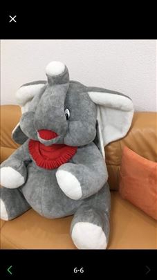 Nov slon 