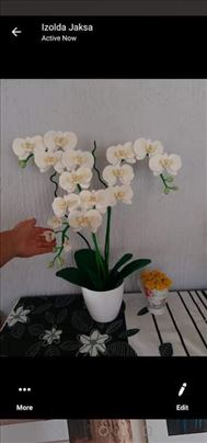 Orhideje od hladnog porcelana 