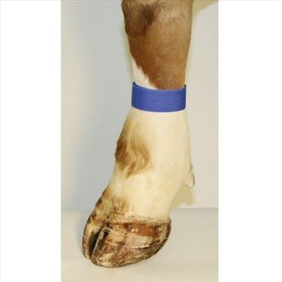 Traka samolepljiva za obeležavanje nogu plava 10/1