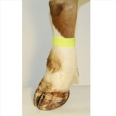 Traka samolepljiva za obeležavanje nogu žuta 10/1