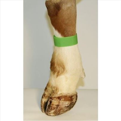 Traka za obeležavanje nogu zelena