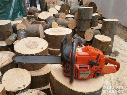 Sečenje drva za ogrev motornom testerom