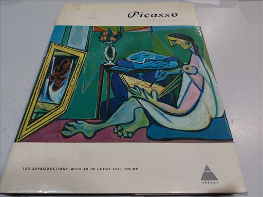 Picasso ENG 