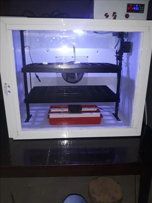 Inkubatori automatski