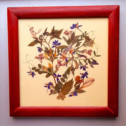 Ručno rađene slike od presovanog cveća