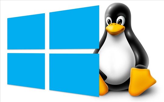 Instalacija operativnog sistema Windows i Linux