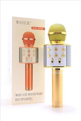 Karaoke mikrofon-Wireless karaoke mikrofon