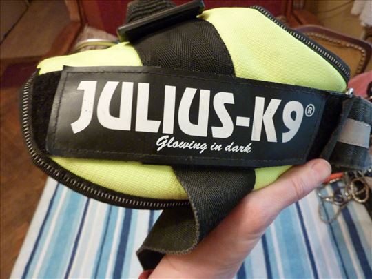 Am za pse Julius K-9 neon-zeleni