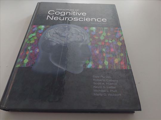 Principles of cognitive neuroscience ENG 