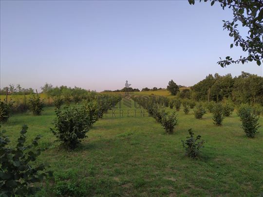 BARAJEVO, Beogradska, poljoprivreno zemljište