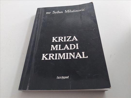 Kriza mladi kriminal mr Srđan Milašinović