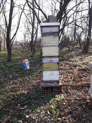 3 DB društava pčela sa košnicama