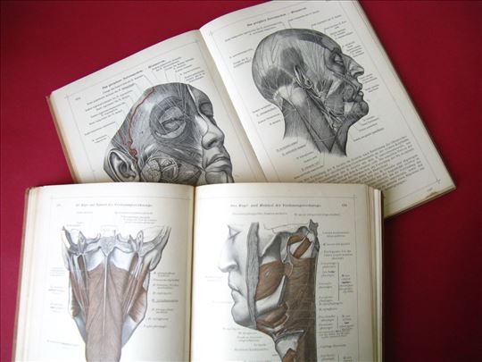 Anatomski atlas Toldt 1934 god